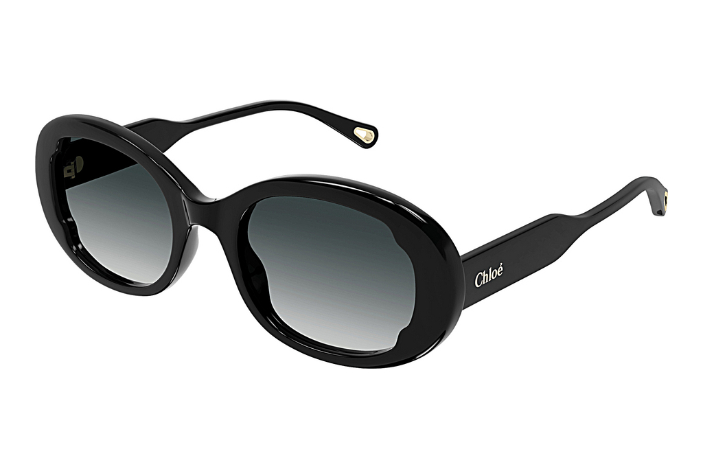 Chloé   CH0197S 001 BLACK