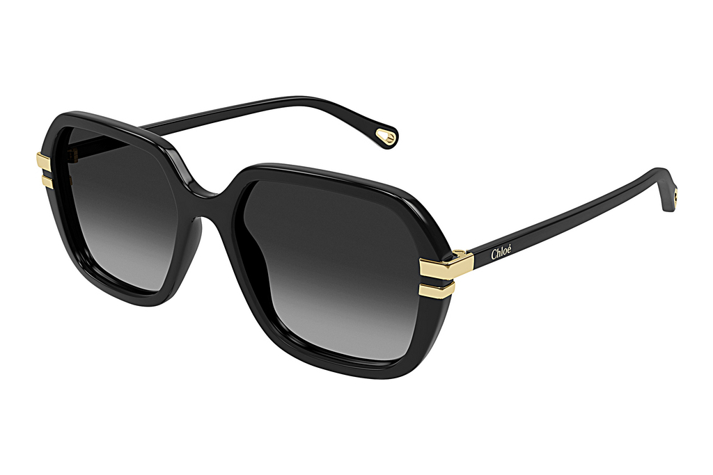 Chloé   CH0204S 001 BLACK