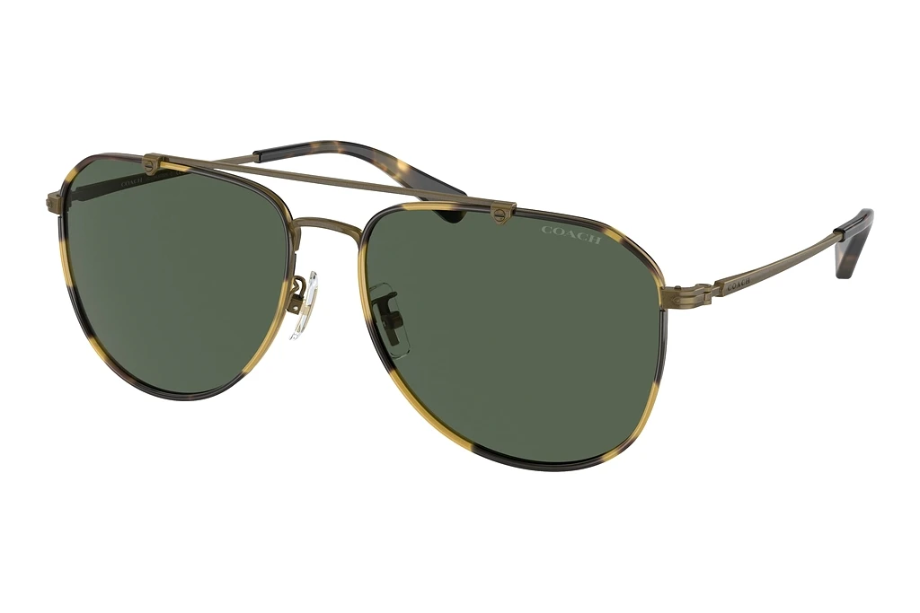 Coach   HC7164 933371 Green SolidAntique Gold/Tokyo Tortoise