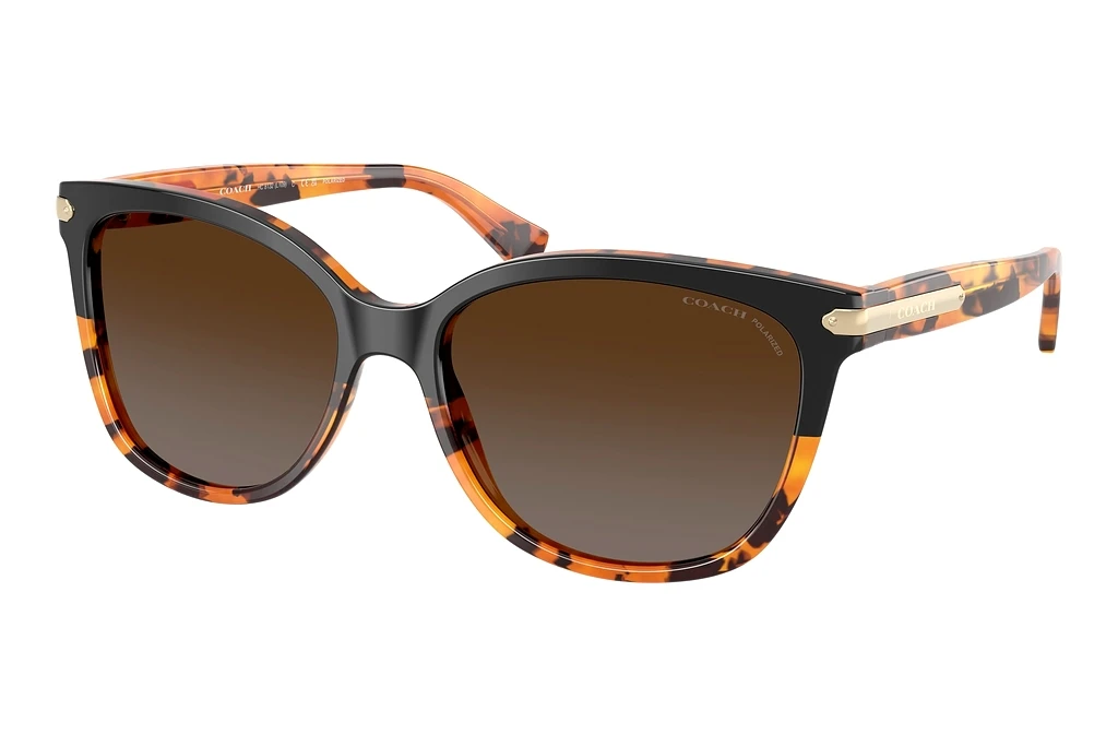 Coach   HC8132 5438T5 Brown Gradient PolarizedBlack Tortoise Gradient