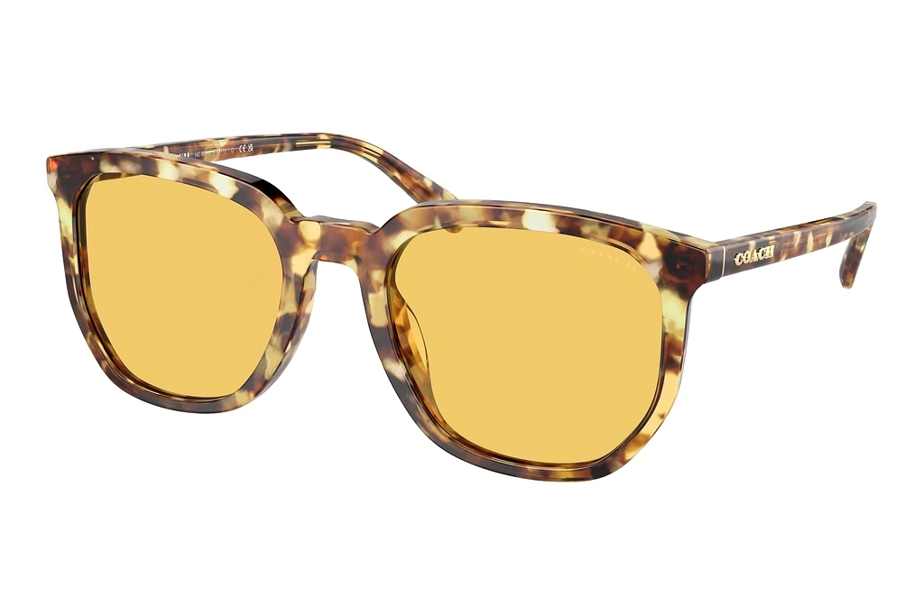 Coach   HC8384U 504585 Amber SolidHoney Tortoise