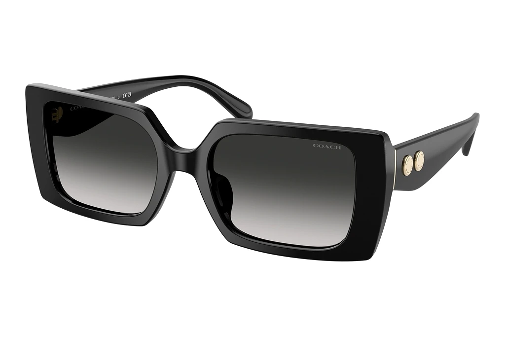 Coach   HC8409U 50023C Grey GradientBlack