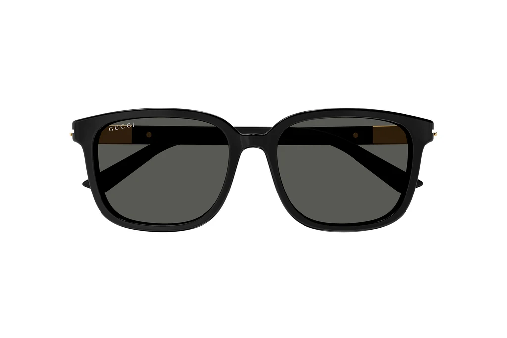 Vista frontale Gucci GG1505SK (001)