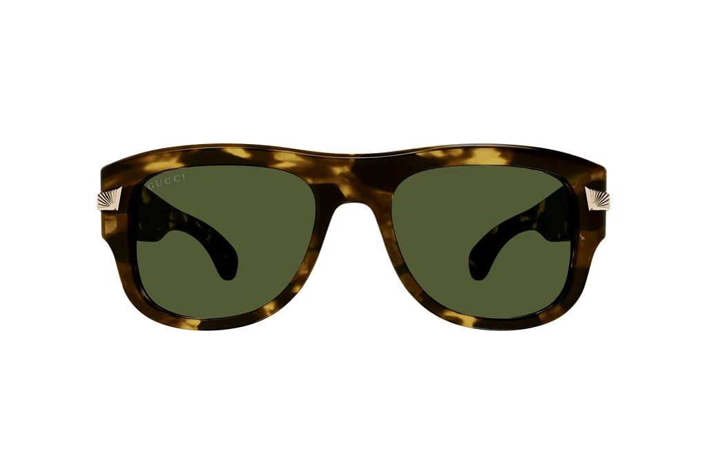 Vista frontale Gucci GG1517S (003)
