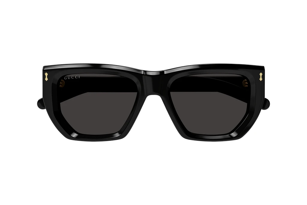 Vista frontale Gucci GG1520S (001)