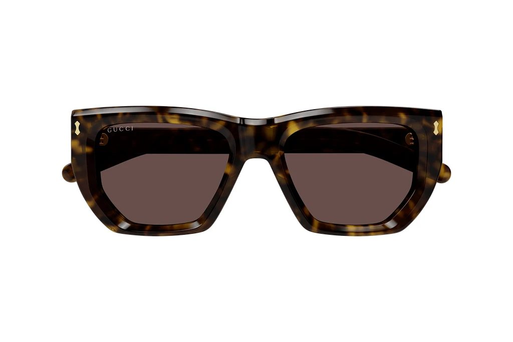 Vista frontale Gucci GG1520S (002)