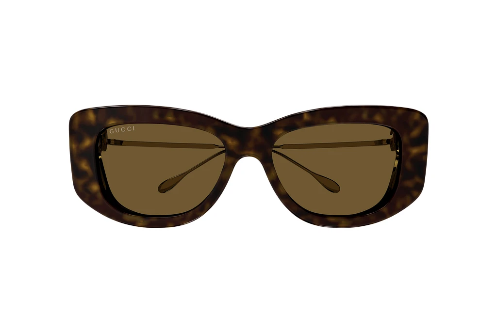 Vista frontale Gucci GG1566S (002)