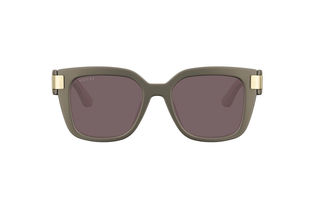 Vista frontale Gucci GG1690SK (003)