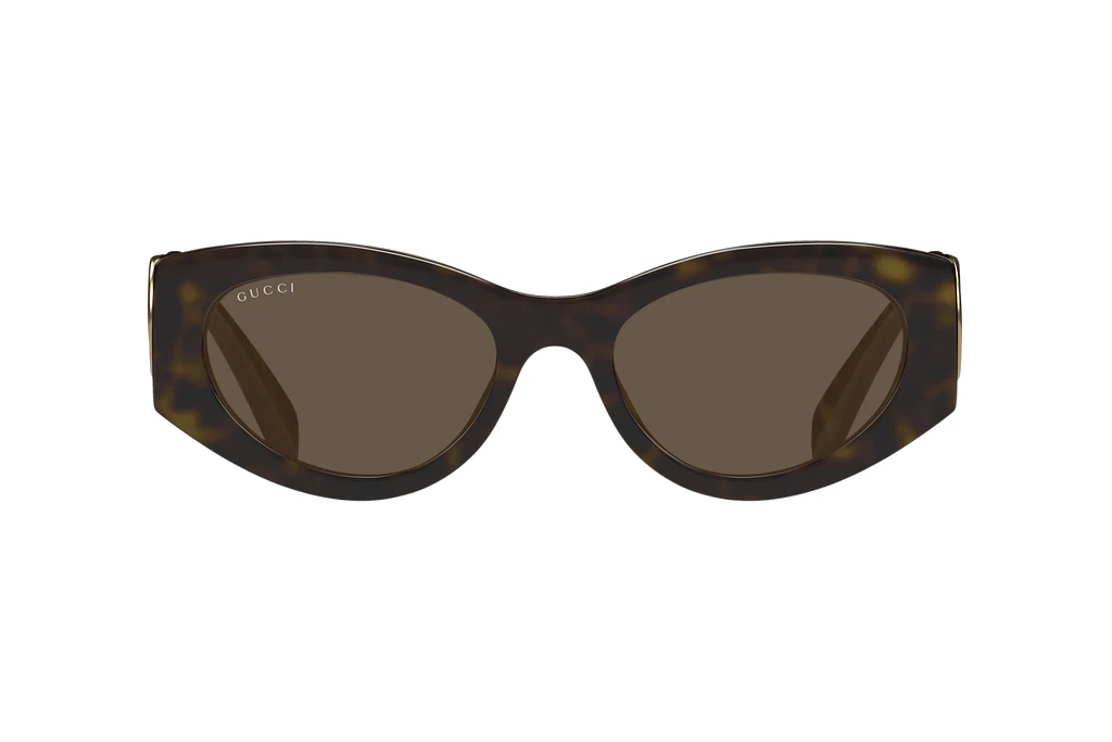Vista frontale Gucci GG1691S (002)