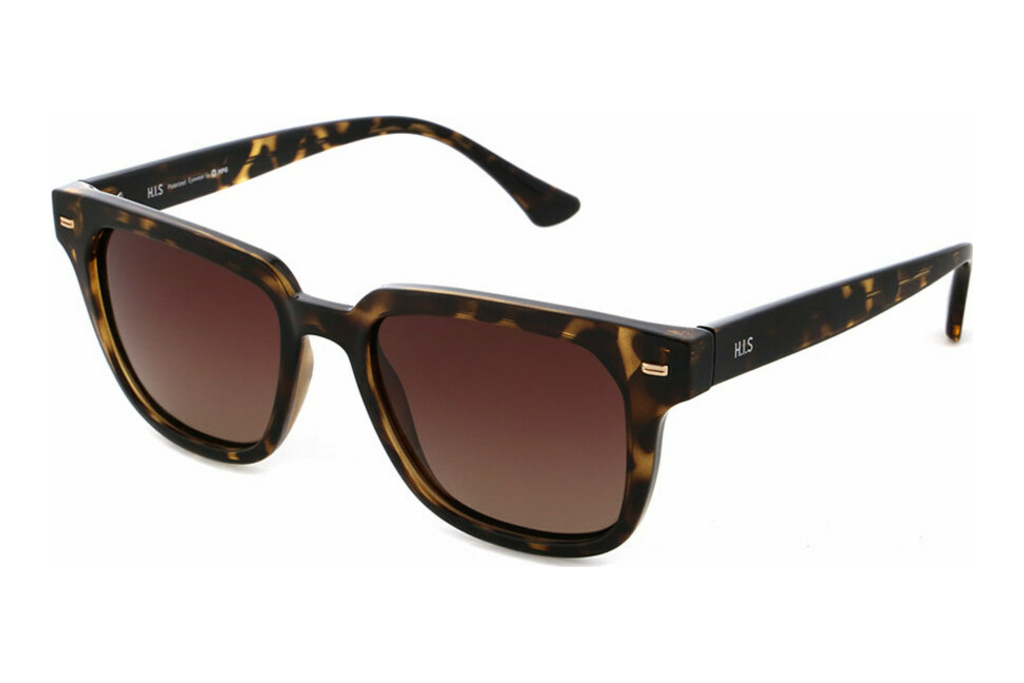 HIS Eyewear   HPS38109 2 brown gradientdemi