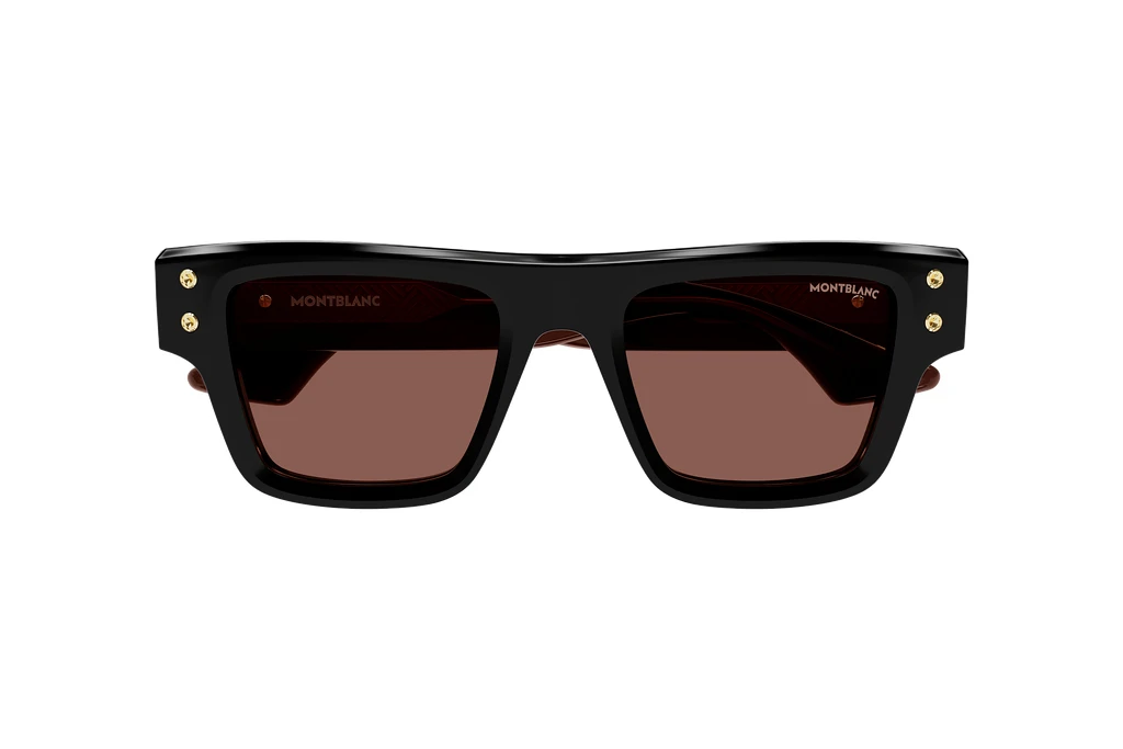 Vista frontale Mont Blanc MB0253S (008)