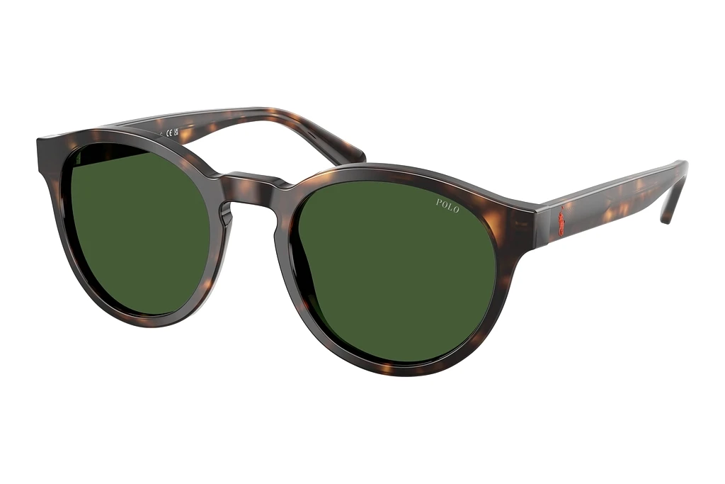 Polo   PH4192 500371 Bottle GreenShiny Dark Havana