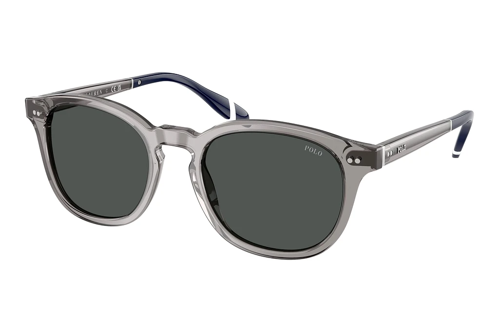 Polo   PH4206 570487 Dark GreyShiny Transparent Grey