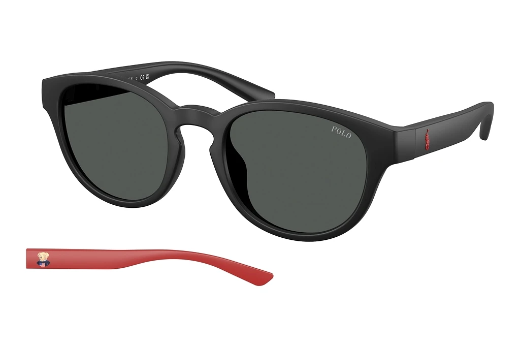 Polo   PH4233U 550487 Dark GreyMatte Black