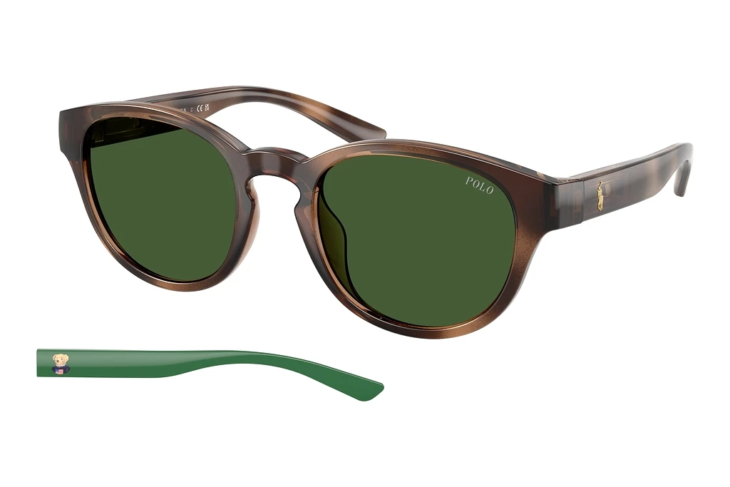 Polo   PH4233U 607071 Bottle GreenShiny Dark Havana