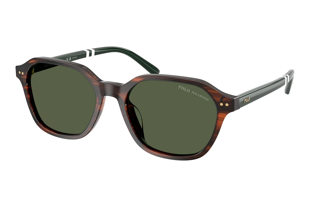 Polo   PH4234U 63159A Polar GreenShiny Havana