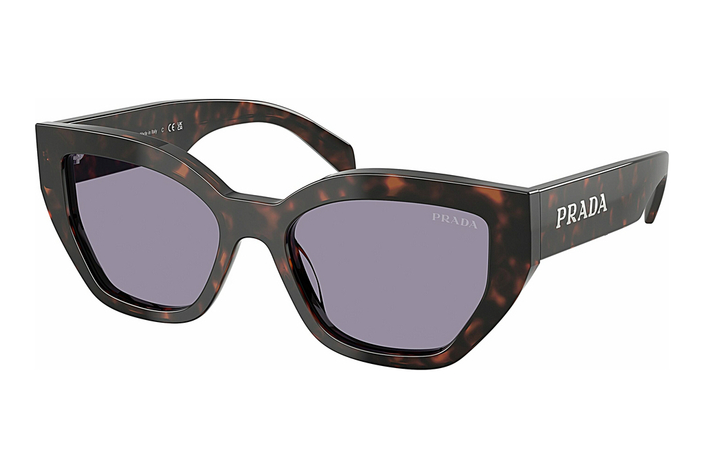 Prada   PR A09S 17N03N GreyRoot Tortoise