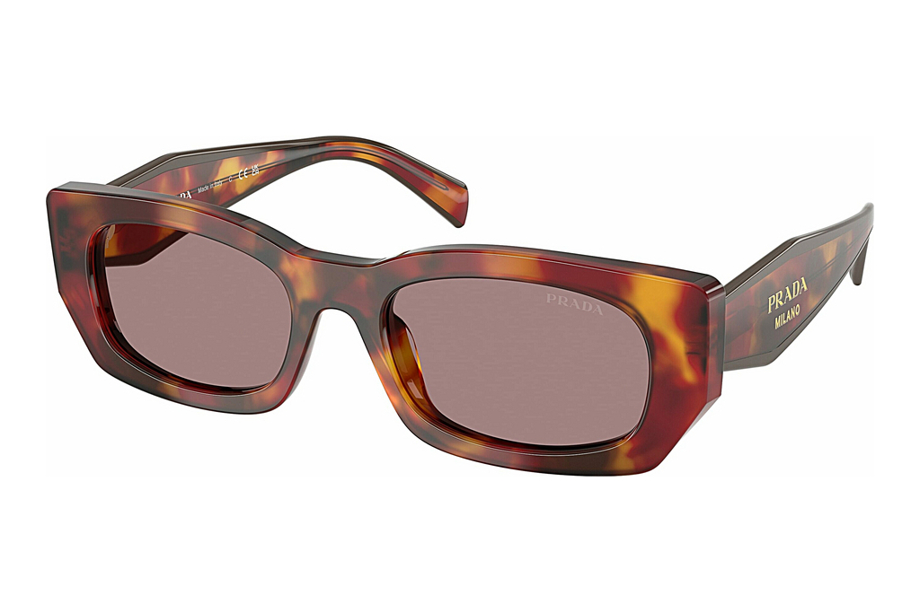 Prada   PR B05S 22A20I Light Purple BrownPoppy Tortoise