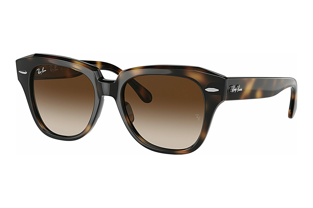 Ray-Ban Kids   RJ9186S 152/13 Dark Brown GradientHavana