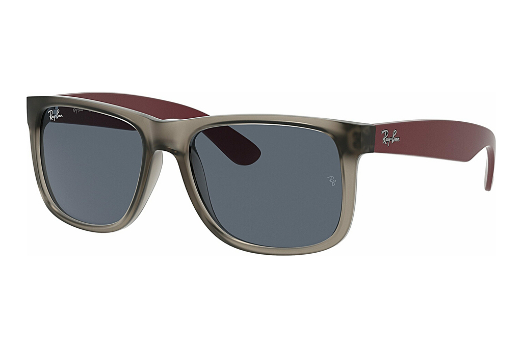 Ray-Ban   RB4165 650987 Dark GreyTransparent Grey