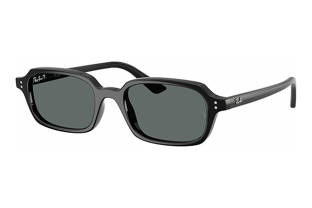 Ray-Ban   RB4455 667781 Dark Grey PolarBlack