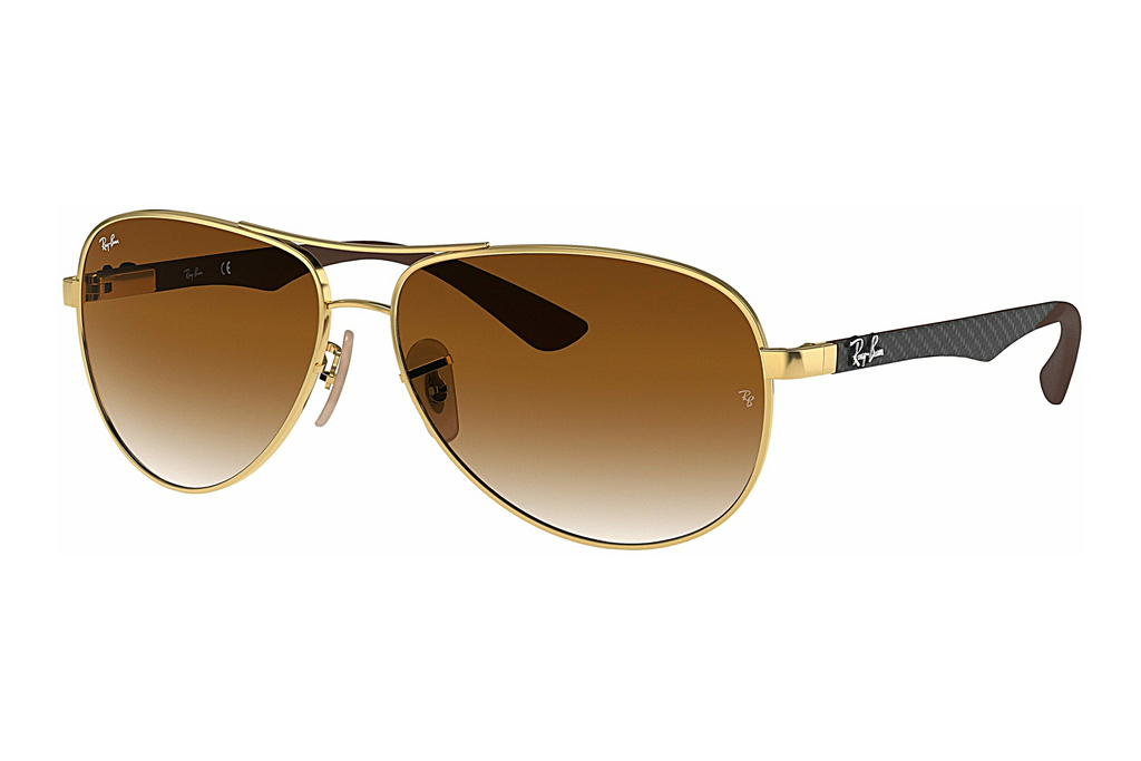 Ray-Ban   RB8313 001/51 Light Brown GradientGold