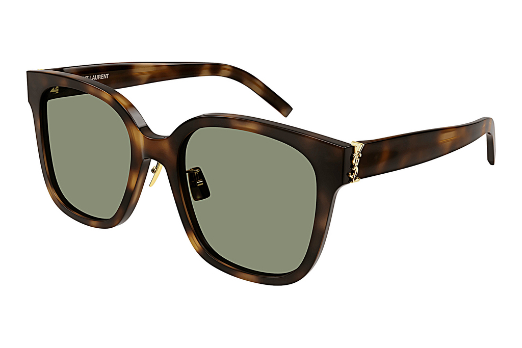 Saint Laurent   SL M105/F 003 HAVANA