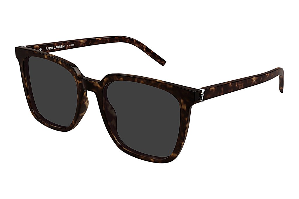 Saint Laurent   SL M146/K 002 HAVANA