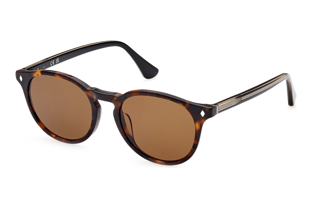 Web Eyewear   WE0328 56N grünBlond Havanna