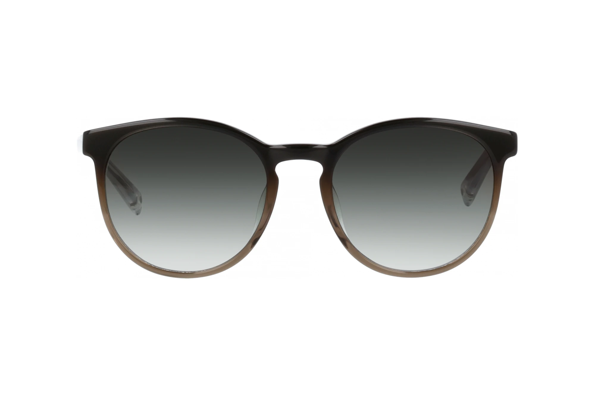 Vista frontale Brendel BL 906168 (60)