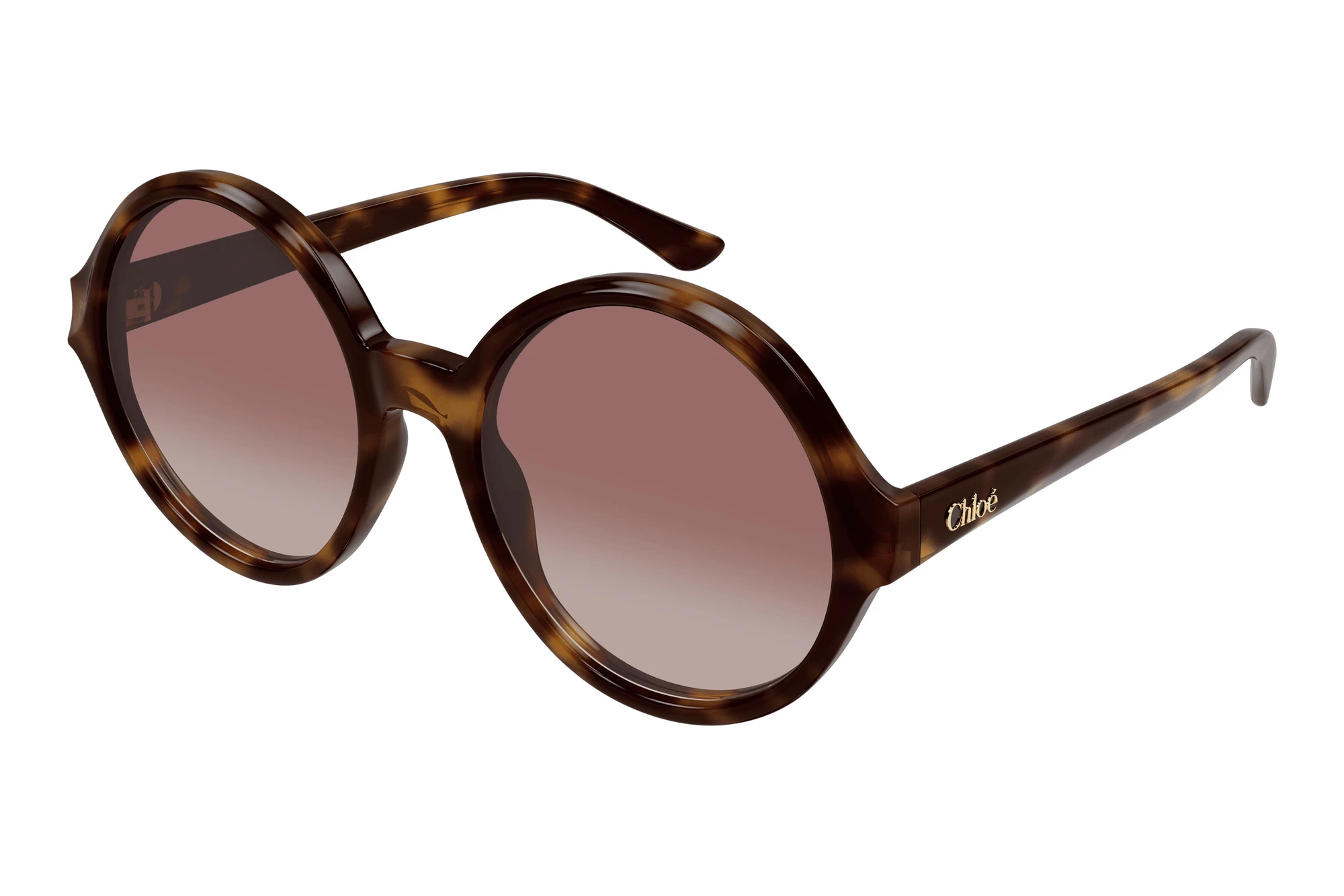 Chloé   CH0290S 003 HAVANA
