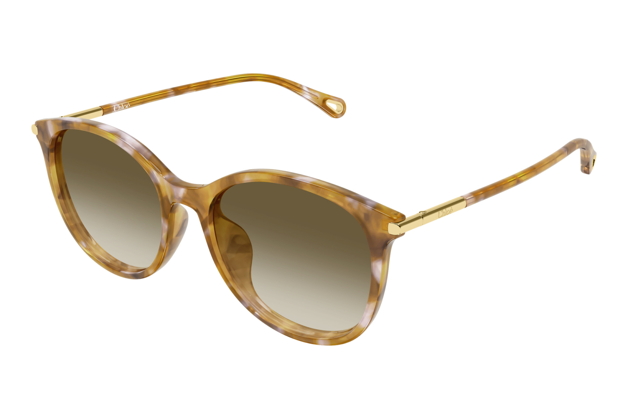 Chloé   CH0397SK 003 HAVANA