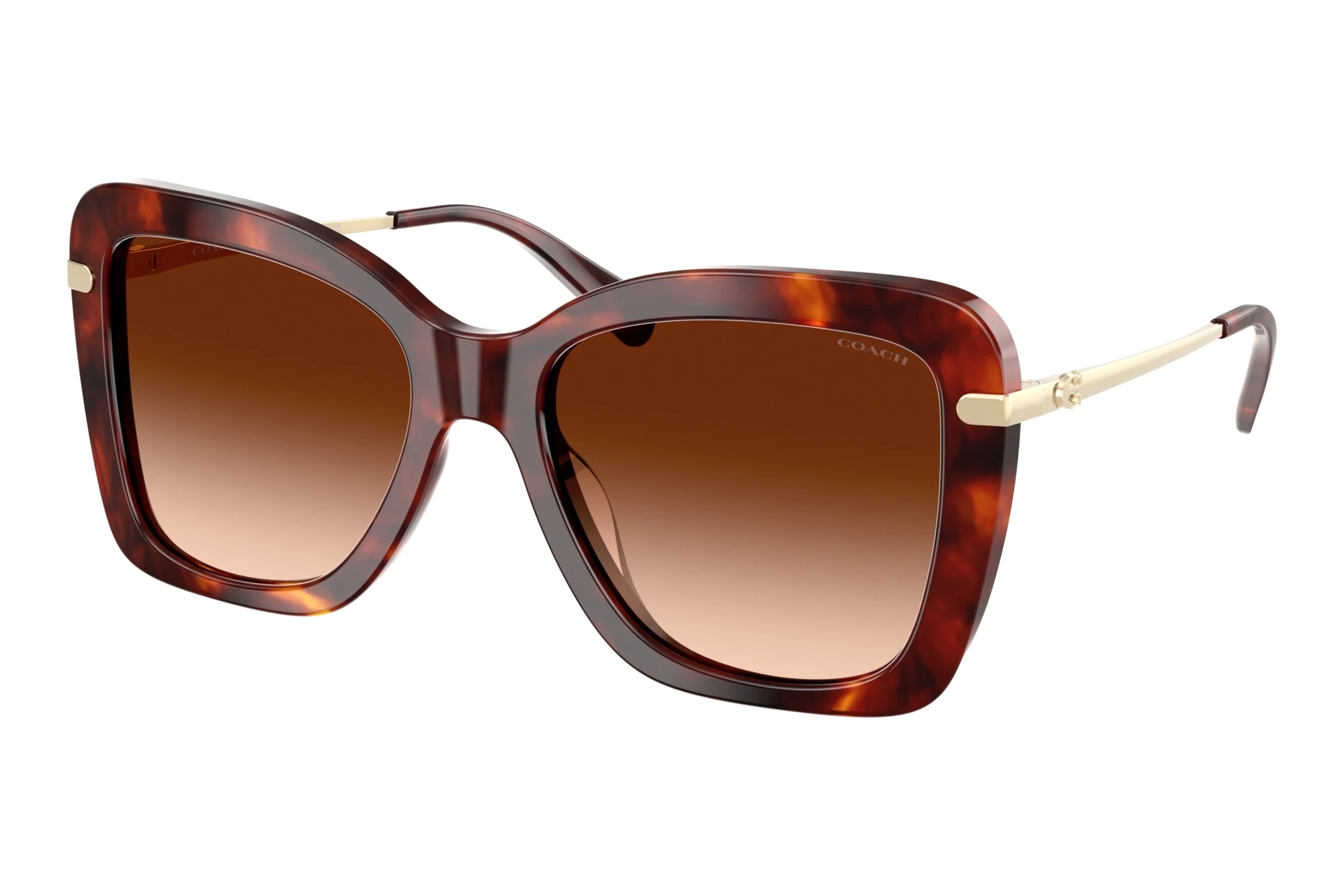 Coach   HC8461U 593874 Brown GradientWalnut Tortoise