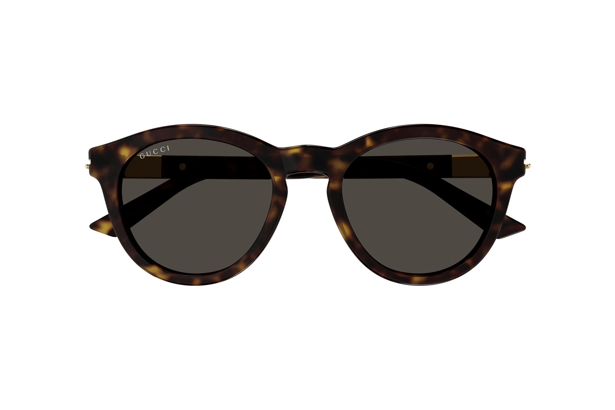 Vista frontale Gucci GG1501S (002)
