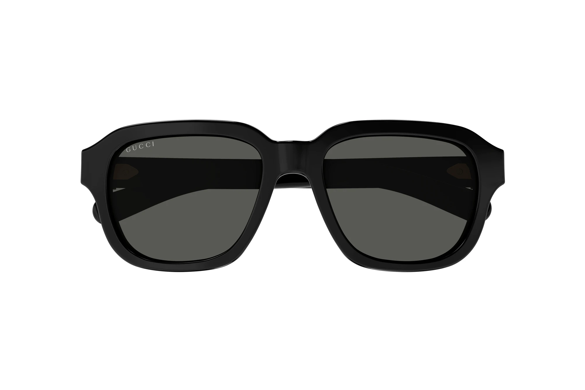 Vista frontale Gucci GG1508S (001)