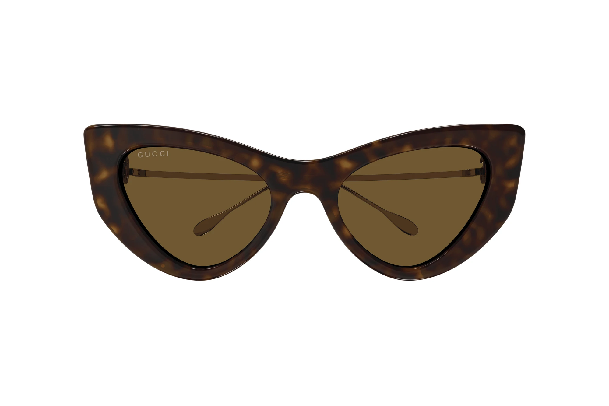 Vista frontale Gucci GG1565S (002)