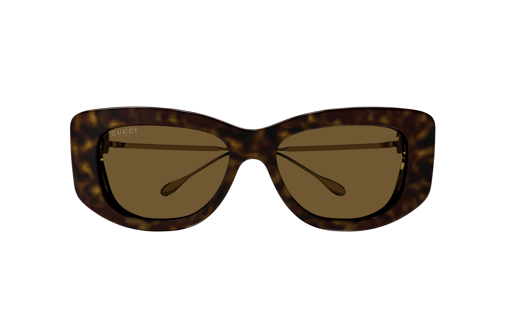 Vista frontale Gucci GG1566S (002)