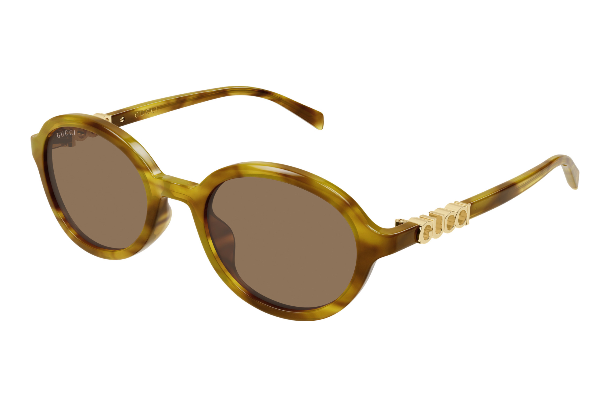 Gucci   GG2033SA 003 HAVANA