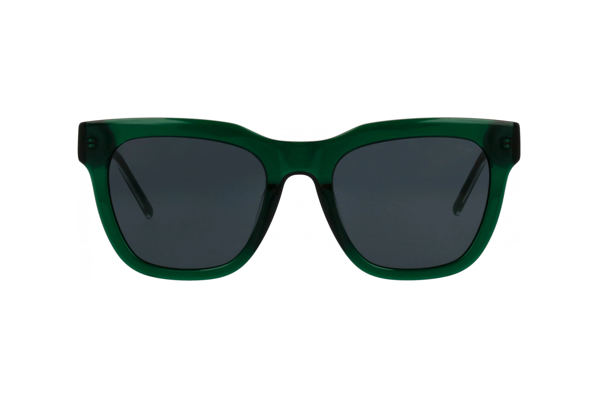 Vista frontale MINI Eyewear MI 746018 (40)