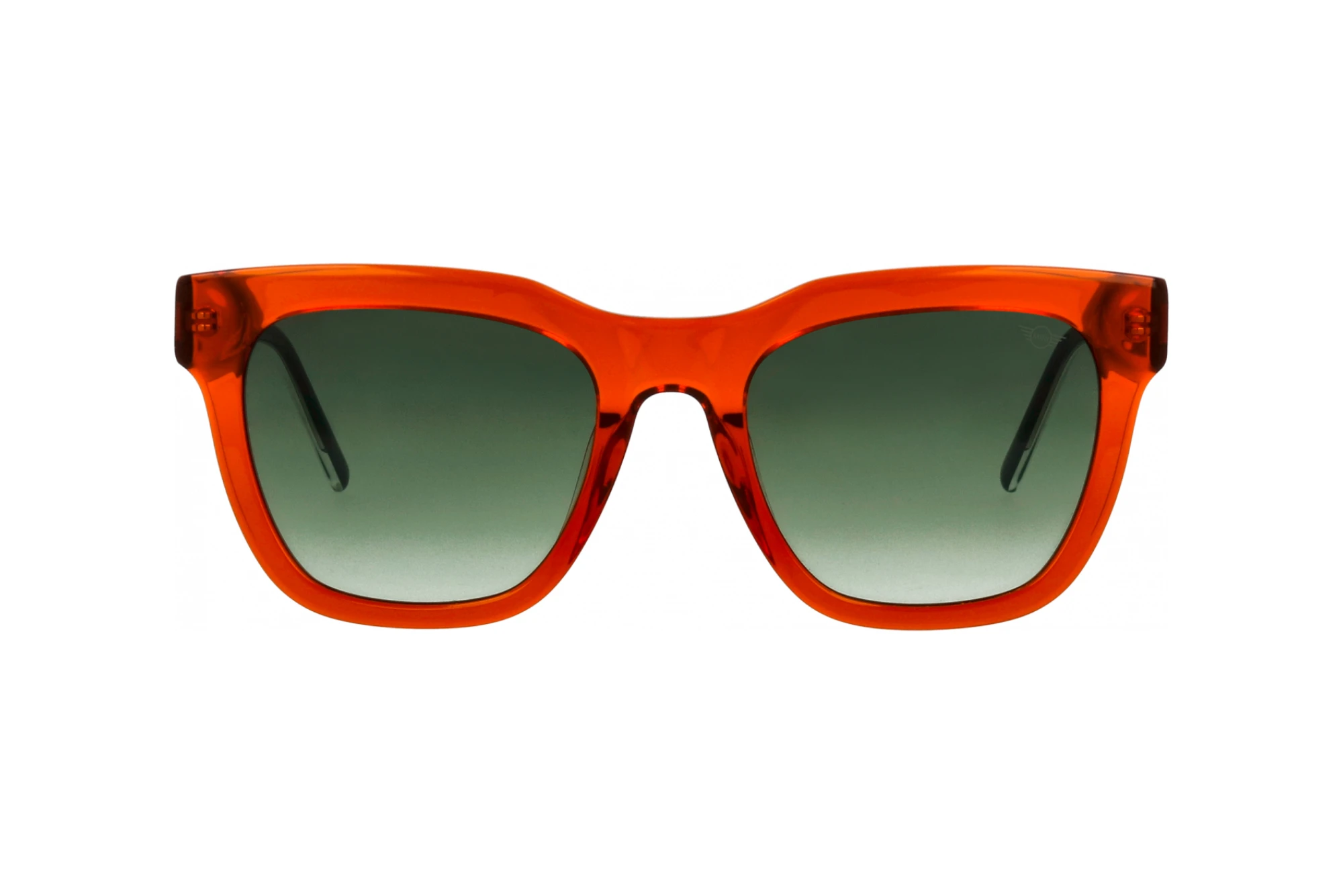 Vista frontale MINI Eyewear MI 746018 (90)