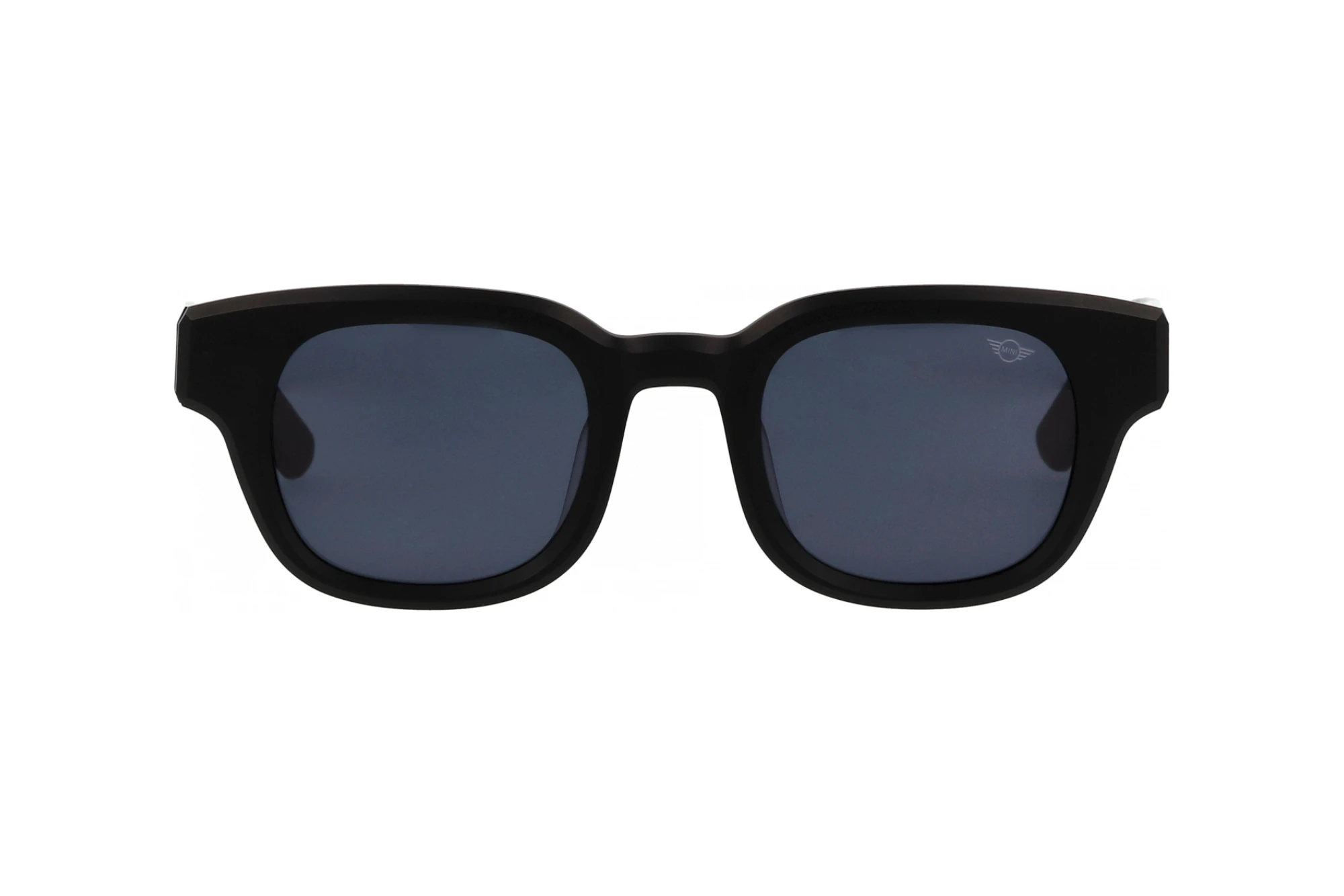 Vista frontale MINI Eyewear MI 746019 (10)