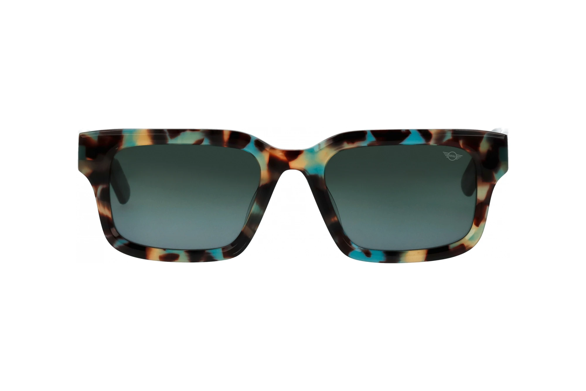 Vista frontale MINI Eyewear MI 746025 (47)