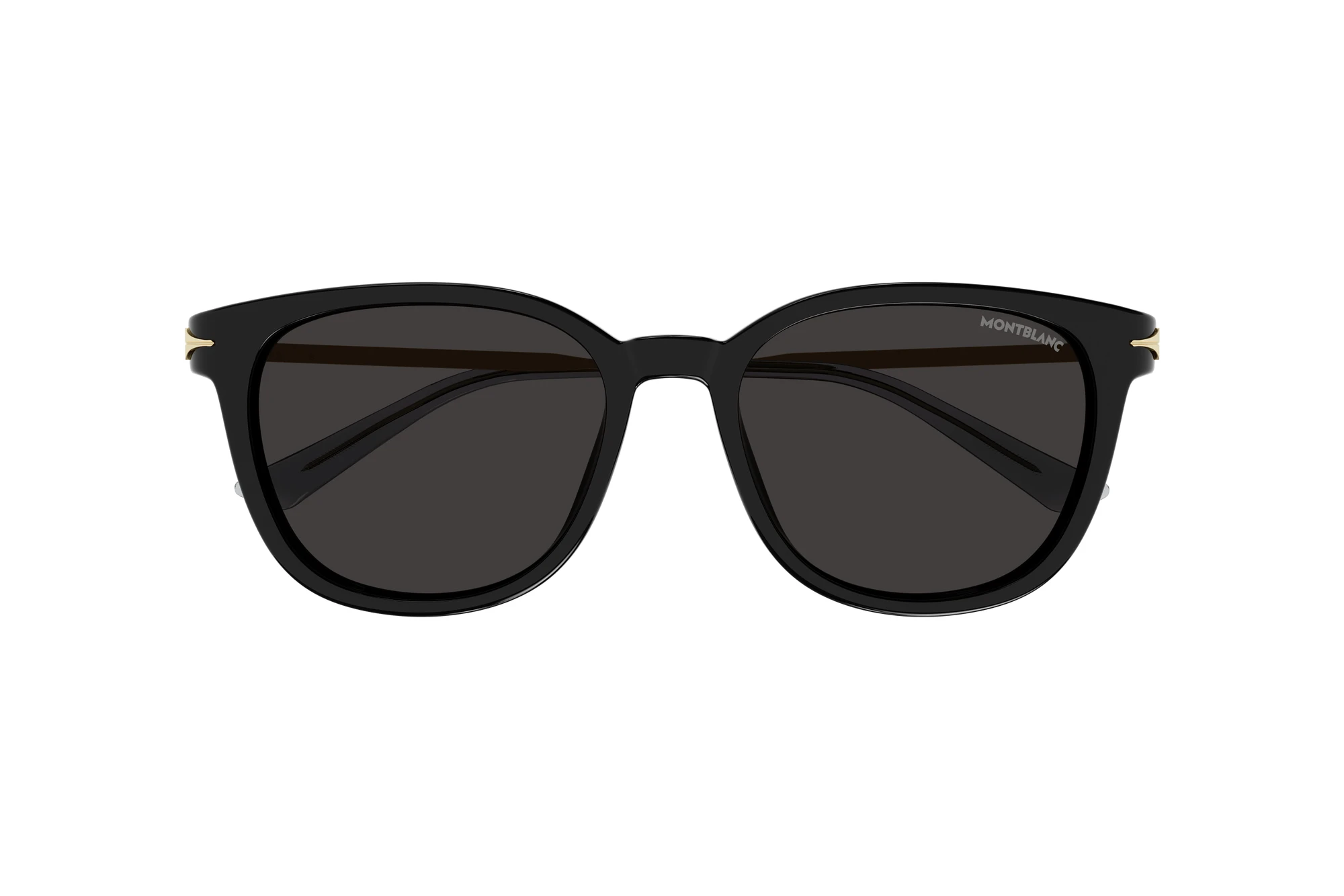 Vista frontale Mont Blanc MB0304SA (001)