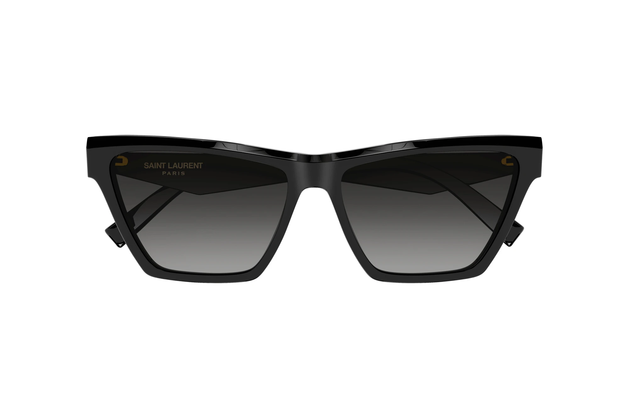 Vista frontale Saint Laurent SL M103 (001)