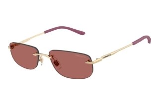 Vista frontale Arnette AN3096 (748/69)