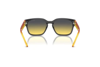 Vista posteriore Arnette HAMIE (AN4325 - 27862Q)