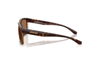Vista laterale Arnette PLOT TWIST (AN4346 - 277073)