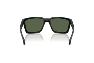 Vista posteriore Arnette PLOT TWIST (AN4346 - 290071)