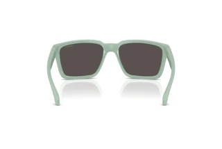 Vista posteriore Arnette PLOT TWIST (AN4346 - 296487)