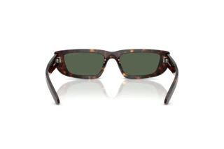 Vista posteriore Arnette AL (AN4357 - 122271)